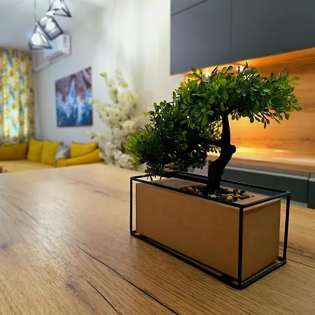 Apartman Three-room In The Center Of